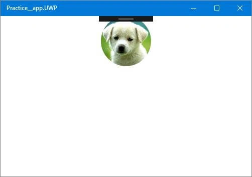 Xamarin.forms