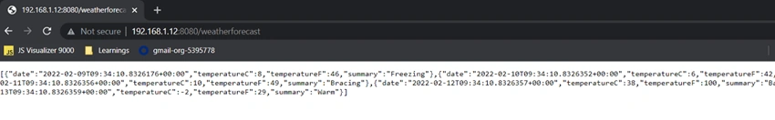 Running Asp.net Core In Linux system(Alpine Linux Distribution) using docker