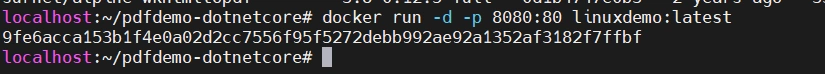 Running Asp.net Core In Linux system(Alpine Linux Distribution) using docker