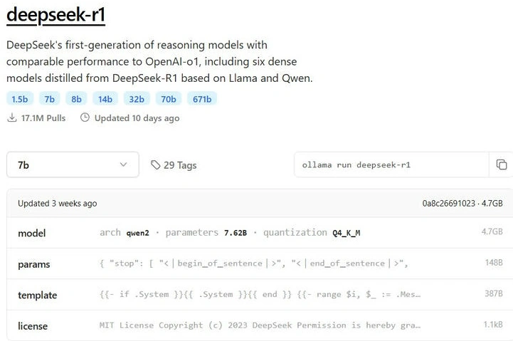 DeepSeek-R1 model