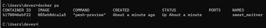 Docker ps
