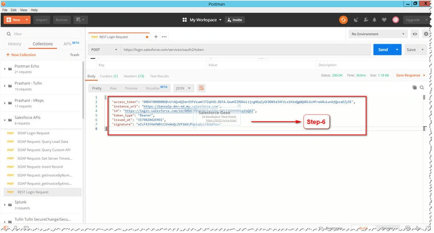 Salesforce Org