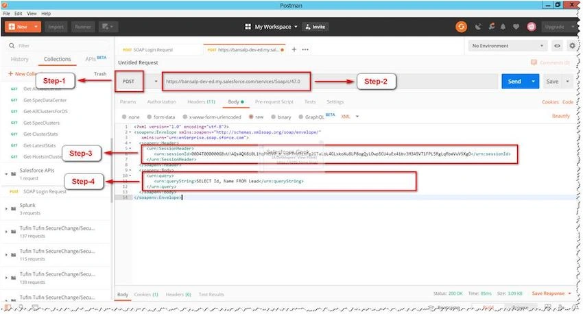 POST Request With SOQL Query Envelope