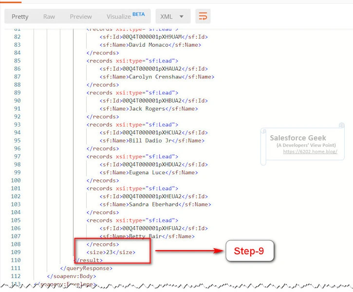 POST Request With SOQL Query Envelope