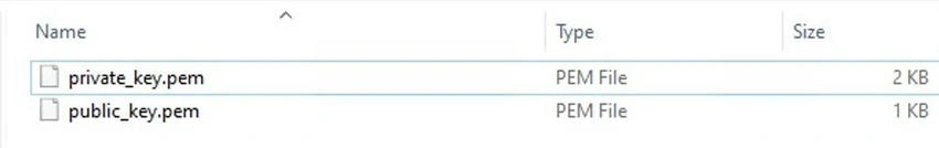 RSA public key
