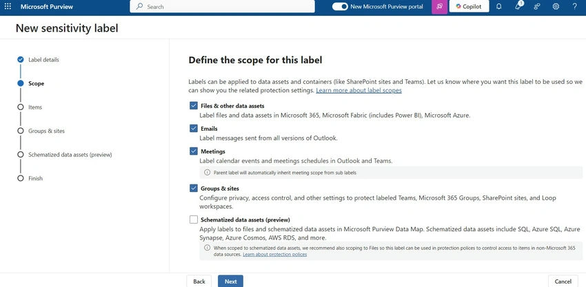 Microsoft preview
