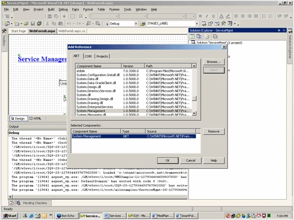System.Management(in Solution Explorer)