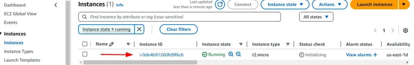 Running insatnce