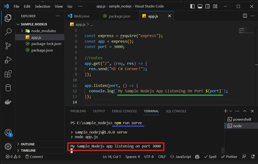 Run a Simple Node Server Project in NodeJS