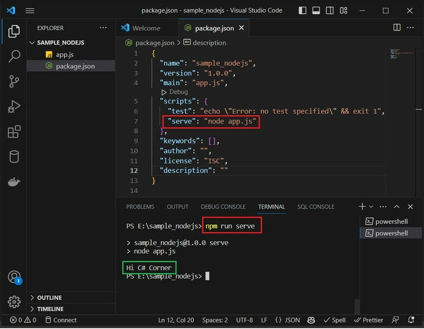 Run a Simple Node Server Project in NodeJS