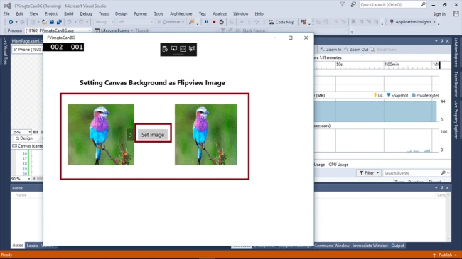 SetImage button