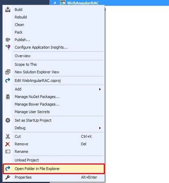 ASP.NET Core