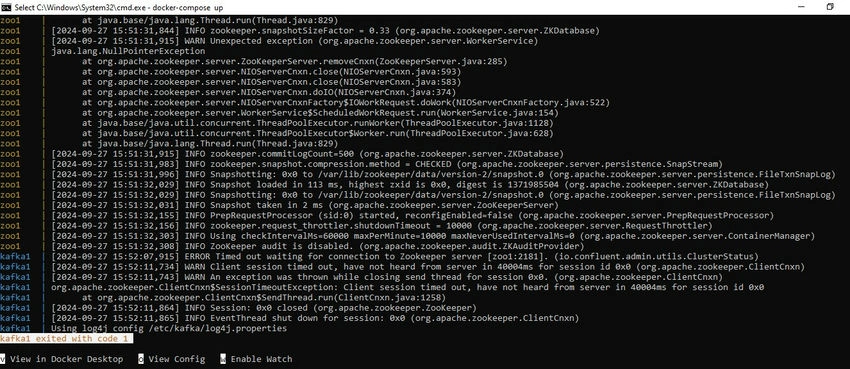 Kafka cluster