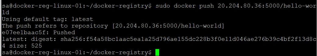 setup a basic private docker registry