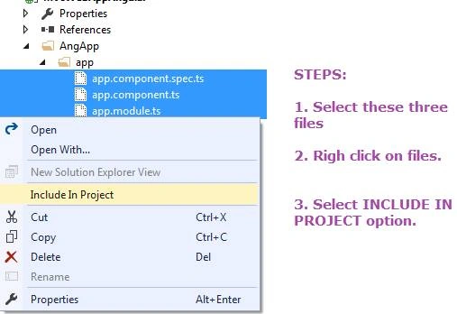 Angular configuration settings