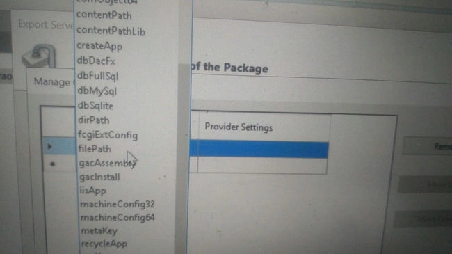 Export setting