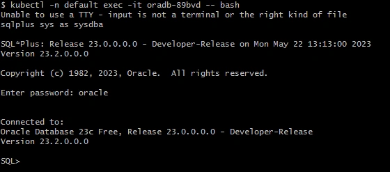 Setup Oracle Database Pod in Kubernetes cluster using Yaml file