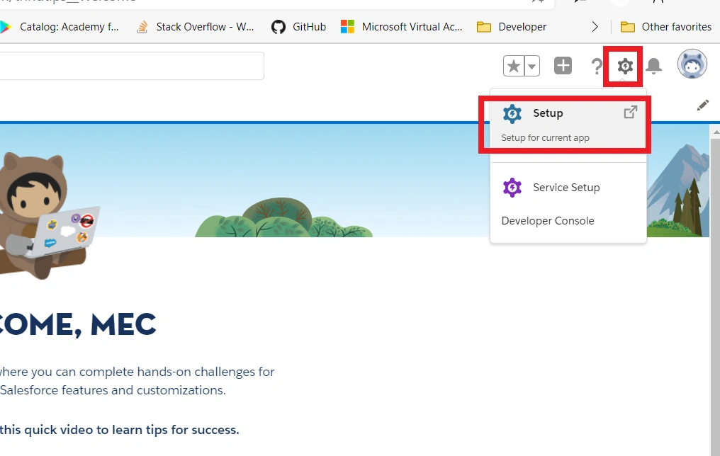 Setup Single Sign-On Feature For Salesforce Users