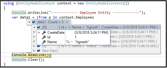 Entity model