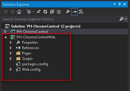 Remote Web Project