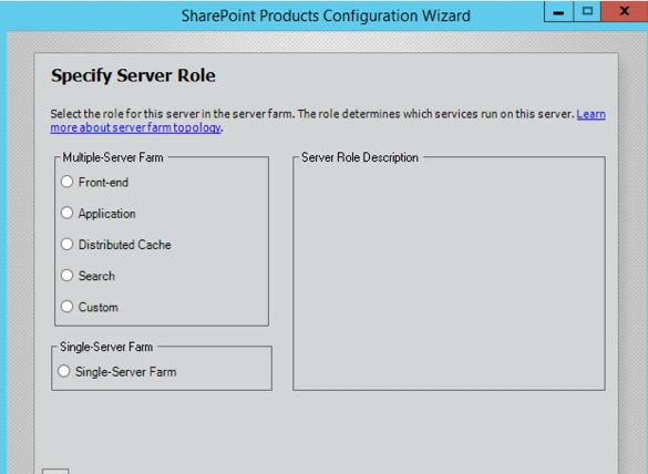 Server Role