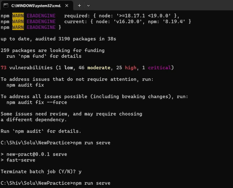 npm run serve