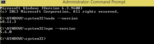 NPM package