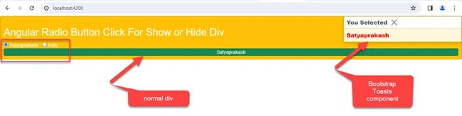 Show Hide Div on Click of Radio Button using Angular and Bootstrap