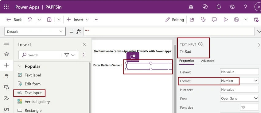 Text input