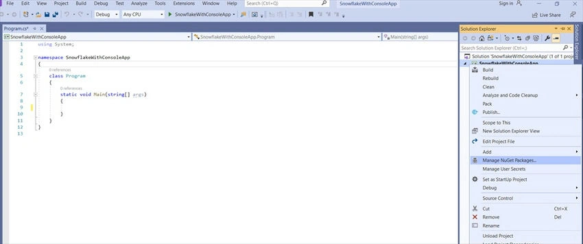 Solution explorer