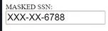 SSN Masking