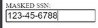 SSN Unmask