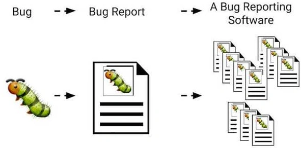 bug