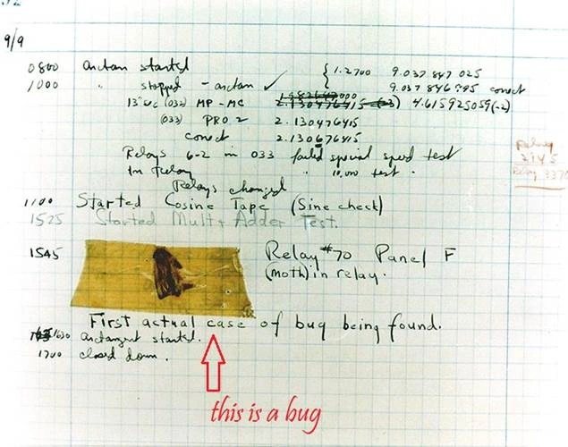 bugs