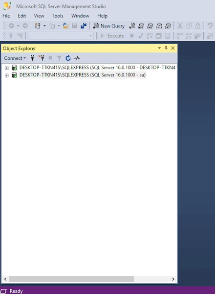 Login failed for user 'sa'. Microsoft SQL Server, Error 18456