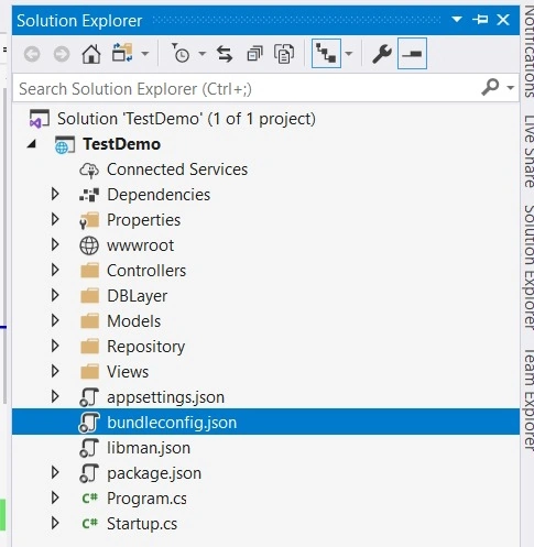 Solution Explorer