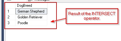 SQL INTERSECT Operator