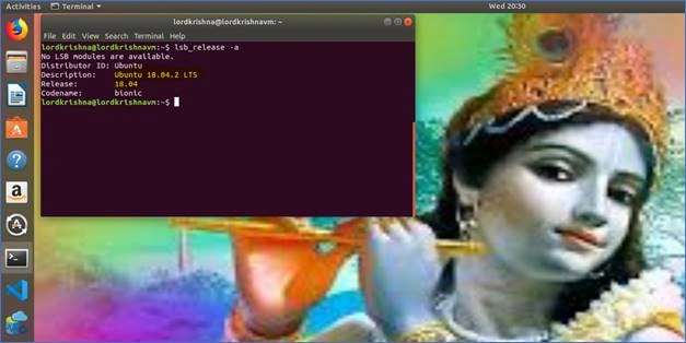 SQL Server 2017 Docker Container And Web API In .NET Core In Ubuntu 18.04