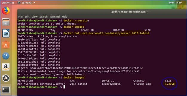 SQL Server 2017 Docker Container And Web API In .NET Core In Ubuntu 18.04