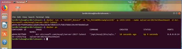 SQL Server 2017 Docker Container And Web API In .NET Core In Ubuntu 18.04