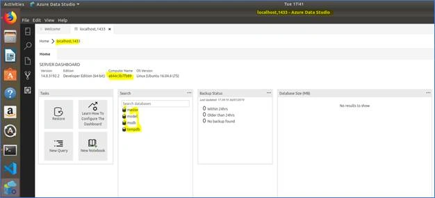 SQL Server 2017 Docker Container And Web API In .NET Core In Ubuntu 18.04