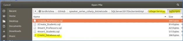 SQL Server 2017 Docker Container And Web API In .NET Core In Ubuntu 18.04