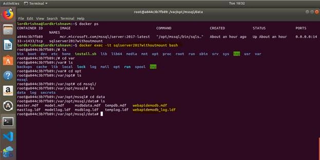 SQL Server 2017 Docker Container And Web API In .NET Core In Ubuntu 18.04