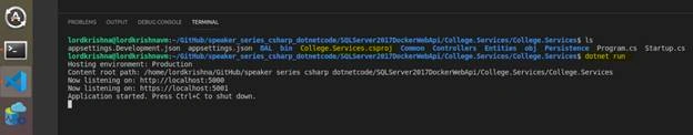 SQL Server 2017 Docker Container And Web API In .NET Core In Ubuntu 18.04