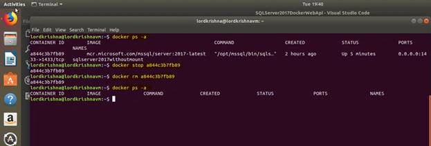 SQL Server 2017 Docker Container And Web API In .NET Core In Ubuntu 18.04