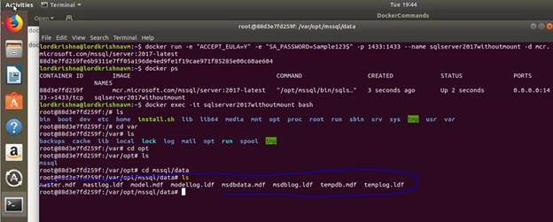 SQL Server 2017 Docker Container And Web API In .NET Core In Ubuntu 18.04