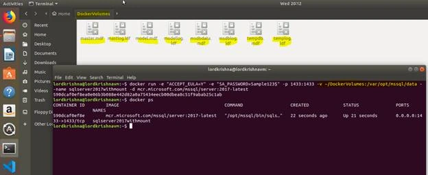 SQL Server 2017 Docker Container And Web API In .NET Core In Ubuntu 18.04