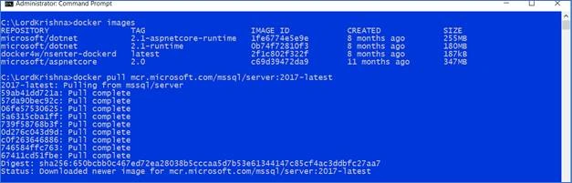 SQL Server 2017 Docker Container And Web API In .Net Core