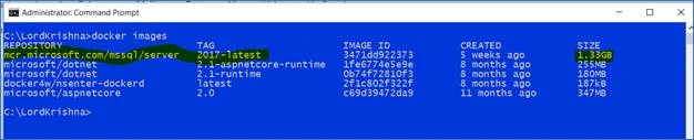 SQL Server 2017 Docker Container And Web API In .Net Core