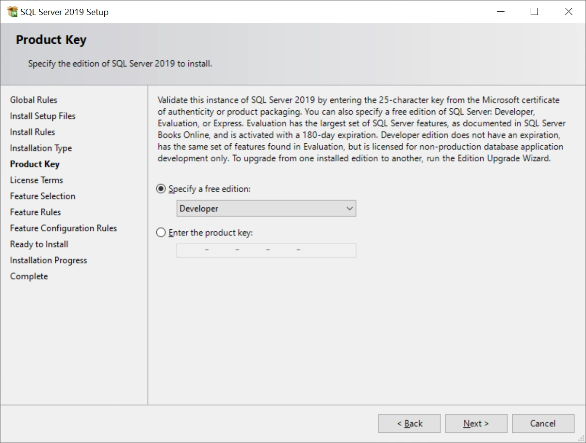 SQL Server 2019 Developer Edition Installation